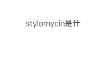 stylomycin是什么意思 stylomycin的中文翻译、读音、例句