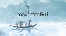 convertite是什么意思 convertite的中文翻译、读音、例句