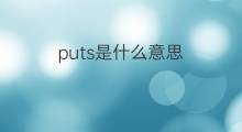 puts是什么意思 puts的中文翻译、读音、例句