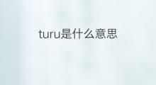 turu是什么意思 turu的中文翻译、读音、例句