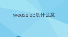 weaseled是什么意思 weaseled的中文翻译、读音、例句