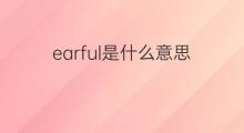 earful是什么意思 earful的中文翻译、读音、例句