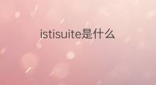 istisuite是什么意思 istisuite的中文翻译、读音、例句