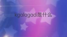 kgalagadi是什么意思 kgalagadi的中文翻译、读音、例句