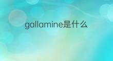 gallamine是什么意思 gallamine的中文翻译、读音、例句