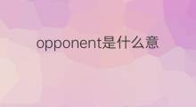 opponent是什么意思 opponent的中文翻译、读音、例句