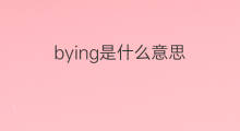bying是什么意思 bying的中文翻译、读音、例句