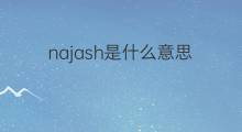najash是什么意思 najash的中文翻译、读音、例句
