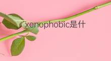 xenophobic是什么意思 xenophobic的中文翻译、读音、例句