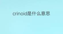 crinoid是什么意思 crinoid的中文翻译、读音、例句