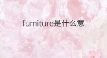 fumiture是什么意思 fumiture的中文翻译、读音、例句