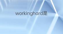 workinghard是什么意思 workinghard的中文翻译、读音、例句