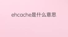 ehcache是什么意思 ehcache的中文翻译、读音、例句