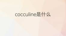 cocculine是什么意思 cocculine的中文翻译、读音、例句