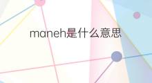 maneh是什么意思 maneh的翻译、读音、例句、中文解释