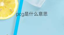 pcg是什么意思 pcg的中文翻译、读音、例句