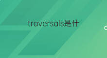traversals是什么意思 traversals的中文翻译、读音、例句