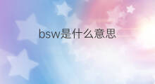 bsw是什么意思 bsw的中文翻译、读音、例句