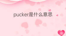 pucker是什么意思 pucker的中文翻译、读音、例句