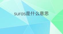 suras是什么意思 suras的中文翻译、读音、例句