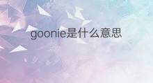 goonie是什么意思 goonie的中文翻译、读音、例句