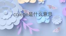 colege是什么意思 colege的中文翻译、读音、例句