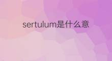 sertulum是什么意思 sertulum的中文翻译、读音、例句