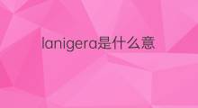 lanigera是什么意思 lanigera的中文翻译、读音、例句