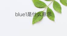 blue1是什么意思 blue1的中文翻译、读音、例句
