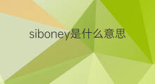 siboney是什么意思 siboney的中文翻译、读音、例句