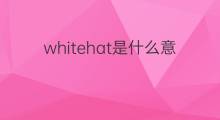 whitehat是什么意思 whitehat的中文翻译、读音、例句
