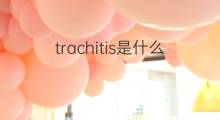 trachitis是什么意思 trachitis的中文翻译、读音、例句