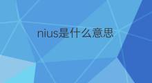 nius是什么意思 nius的中文翻译、读音、例句
