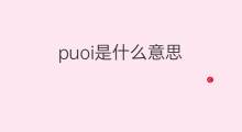 puoi是什么意思 puoi的中文翻译、读音、例句