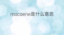 macaene是什么意思 macaene的中文翻译、读音、例句