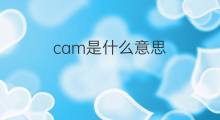 cam是什么意思 cam的中文翻译、读音、例句