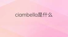ciambella是什么意思 ciambella的中文翻译、读音、例句