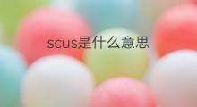scus是什么意思 scus的中文翻译、读音、例句