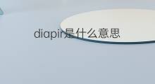 diapir是什么意思 diapir的中文翻译、读音、例句