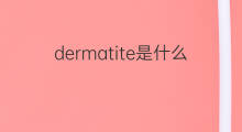 dermatite是什么意思 dermatite的中文翻译、读音、例句