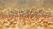 schulzes是什么意思 schulzes的中文翻译、读音、例句
