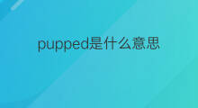 pupped是什么意思 pupped的中文翻译、读音、例句