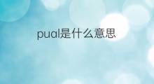 pual是什么意思 pual的中文翻译、读音、例句