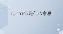 curtana是什么意思 curtana的翻译、读音、例句、中文解释