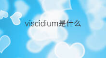 viscidium是什么意思 viscidium的翻译、读音、例句、中文解释