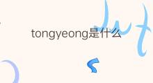 tongyeong是什么意思 tongyeong的中文翻译、读音、例句