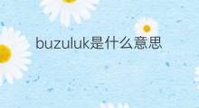 buzuluk是什么意思 buzuluk的翻译、读音、例句、中文解释