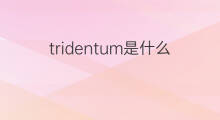 tridentum是什么意思 tridentum的中文翻译、读音、例句