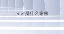 ecvt是什么意思 ecvt的中文翻译、读音、例句