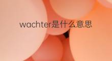 wachter是什么意思 wachter的中文翻译、读音、例句